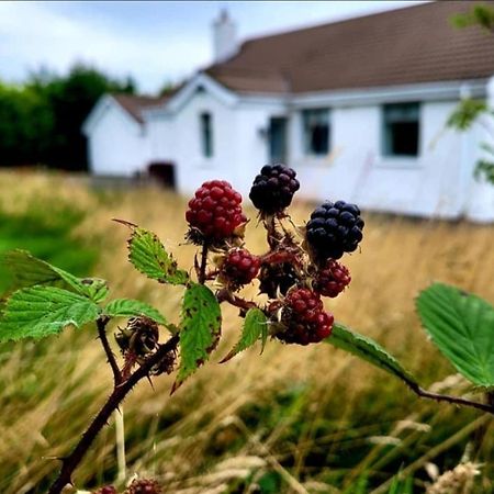 Cathleen'S Cottage Ньюрі Екстер'єр фото